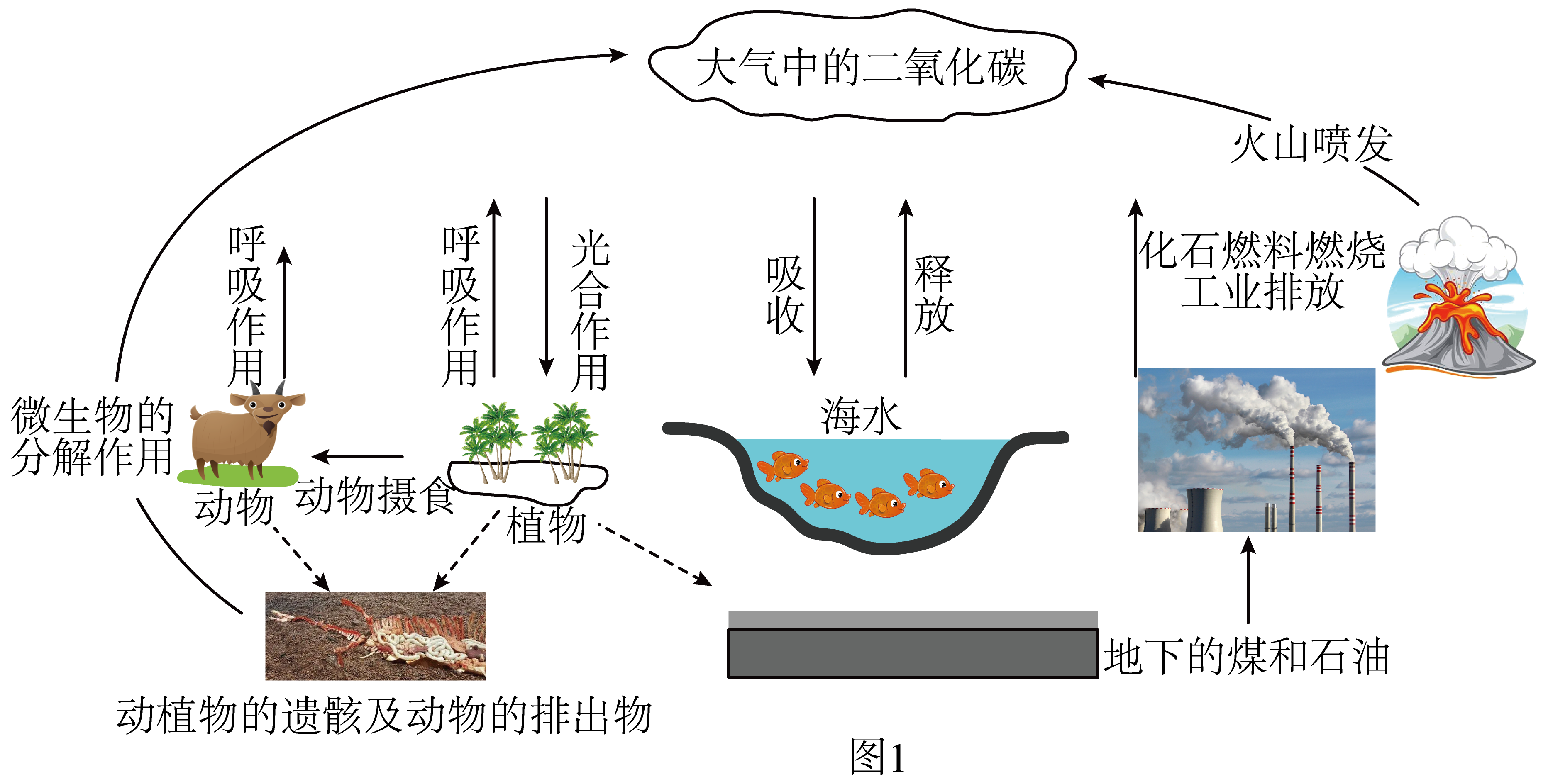 生态循环图解图片