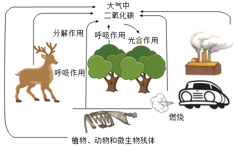 碳中和carbonneutralit是一个节能减排术语简单地说碳即二氧化碳中和